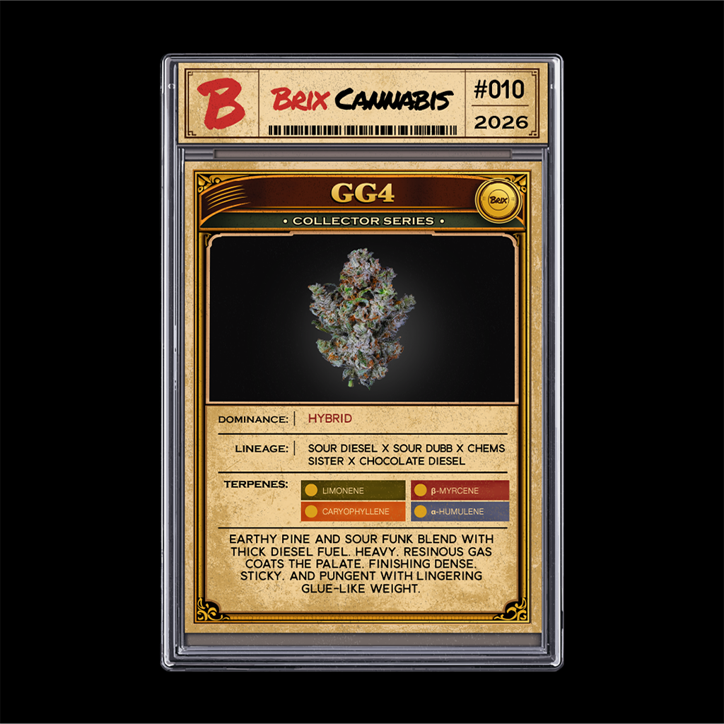 BRIX Cannabis - GG4 (H) Flower C0101000510 BRIX Cannabis - GG4 (H) Flower C0101000510