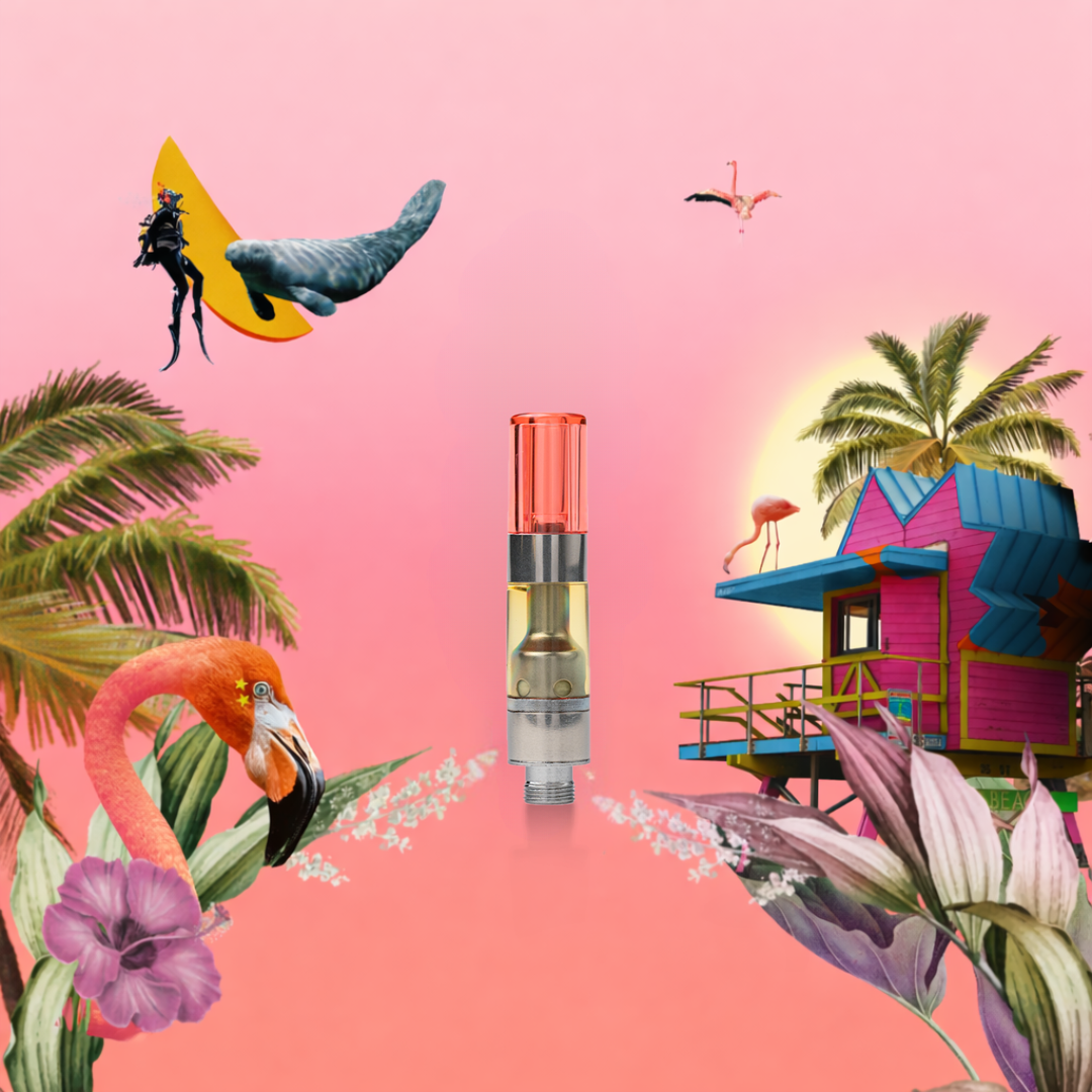 Miami Vibes [0.5g]