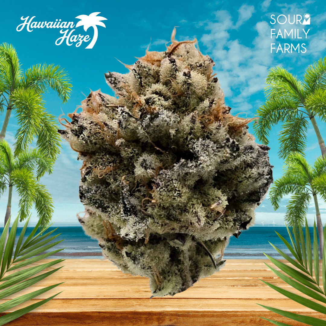 Hawaiian Haze Hawaiian Haze