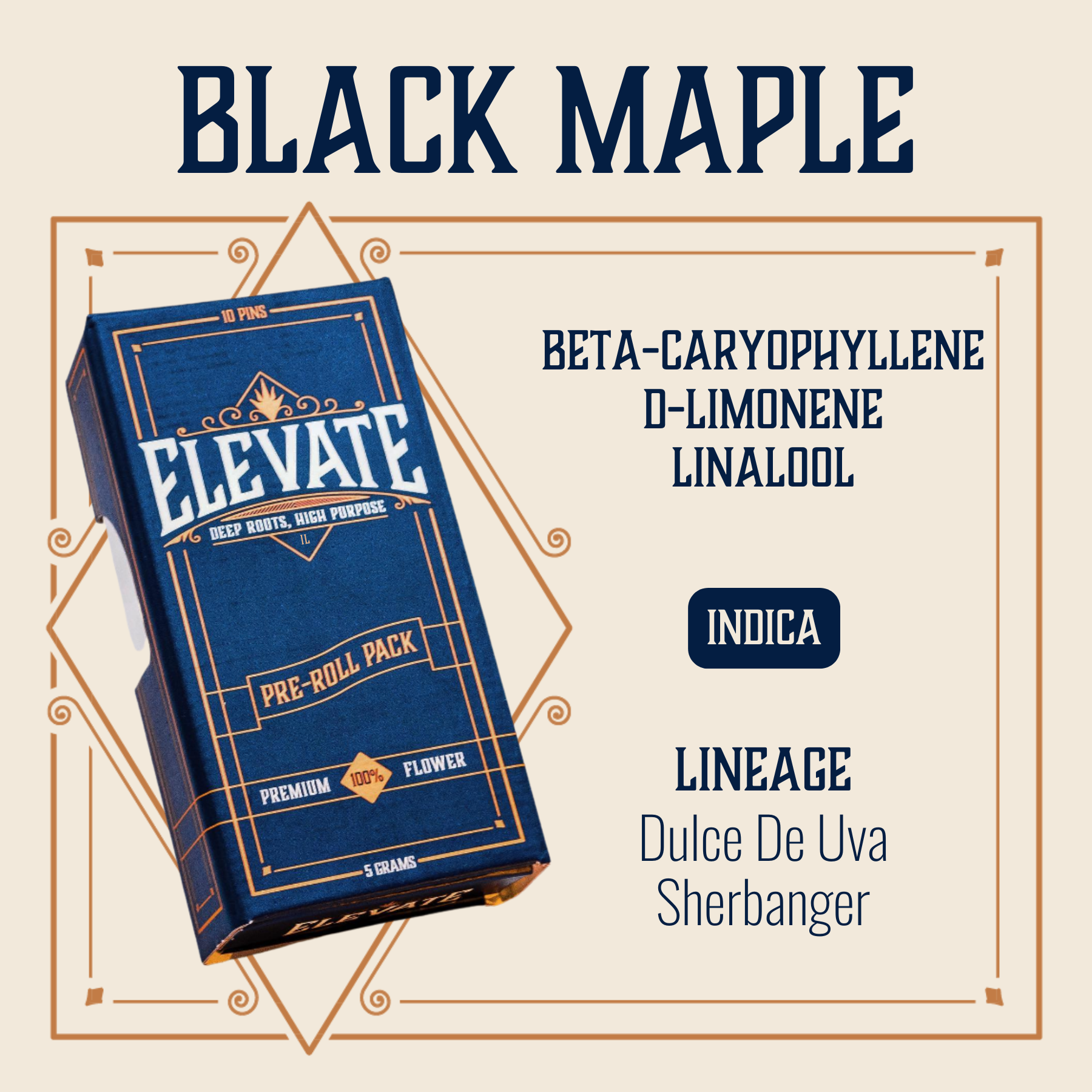 Black Maple [.5g]
