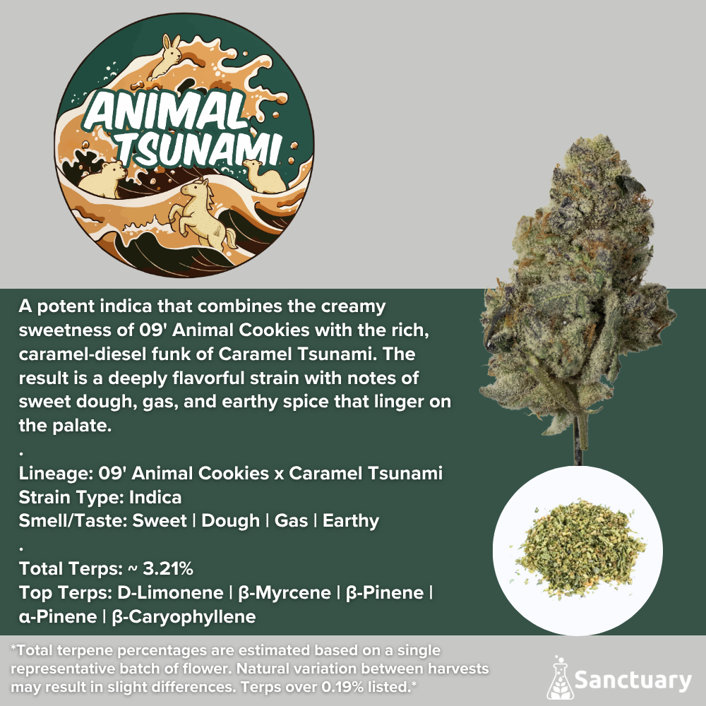 Ground Shake - Animal Tsunami