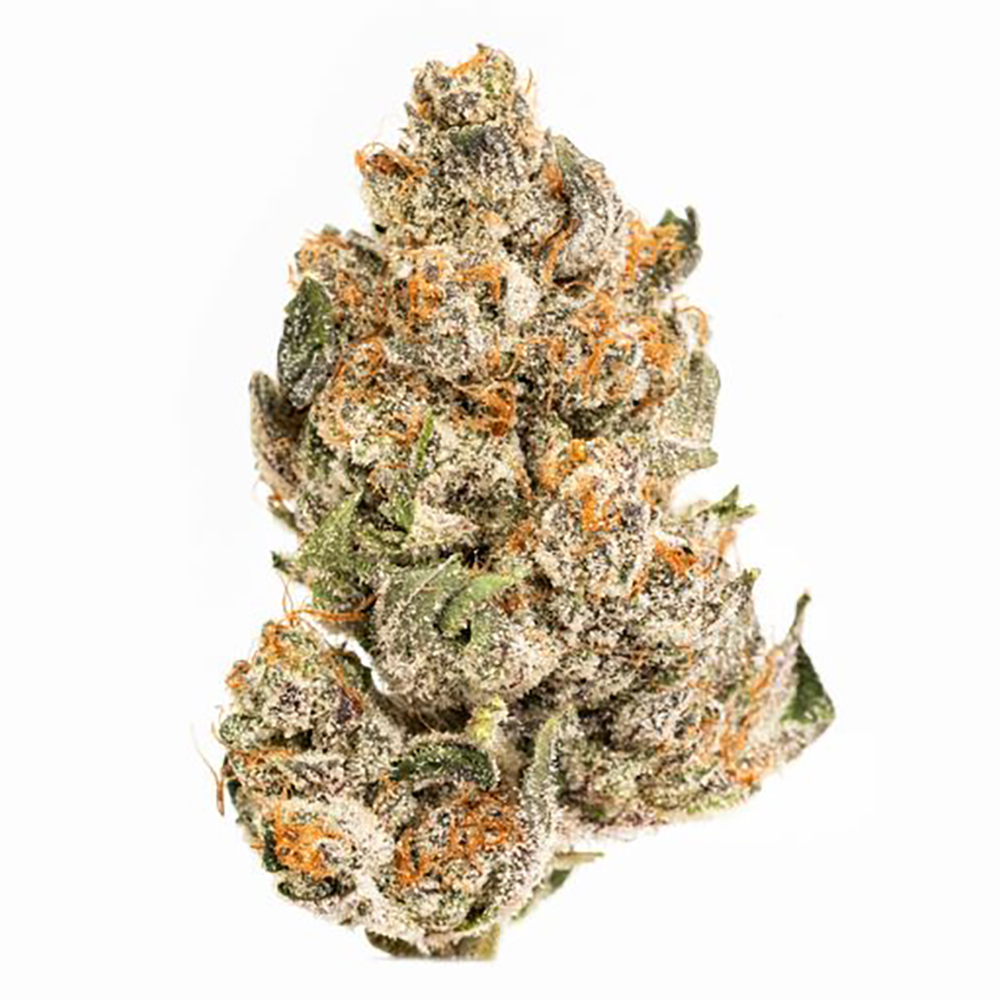 Jealousy FloraCal™ Premium Flower Jane