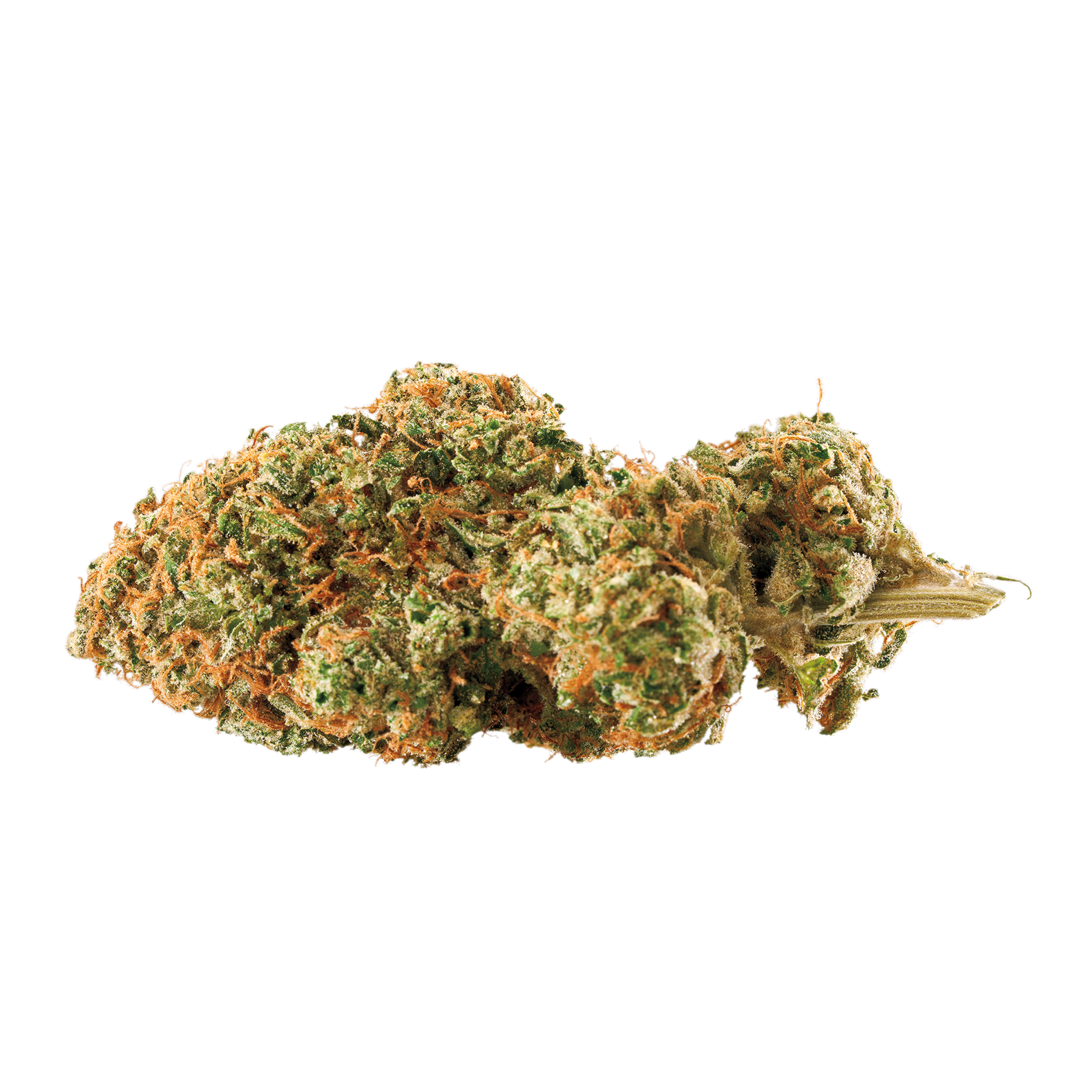 The Rise Dispensary Warwick: See The Photos Before You Go! - b8mdhk7