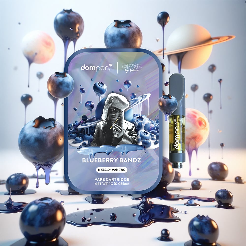 dompen x Future™ Blueberry Bandz Cartridge (1g)