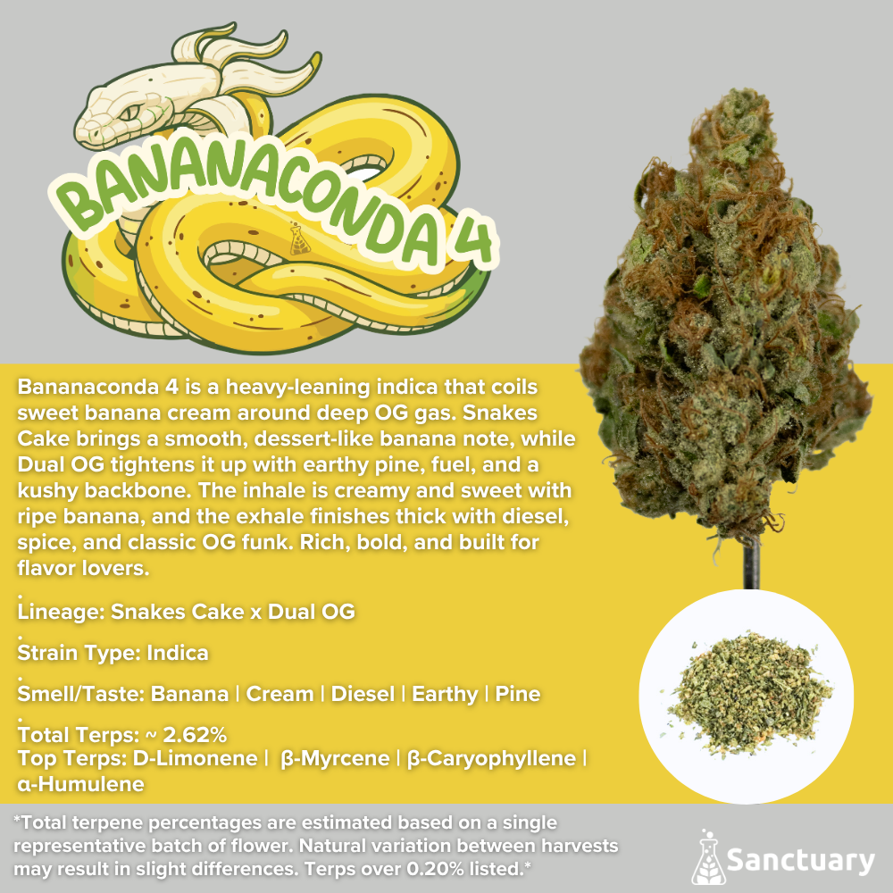 Ground Shake - Bananaconda 4