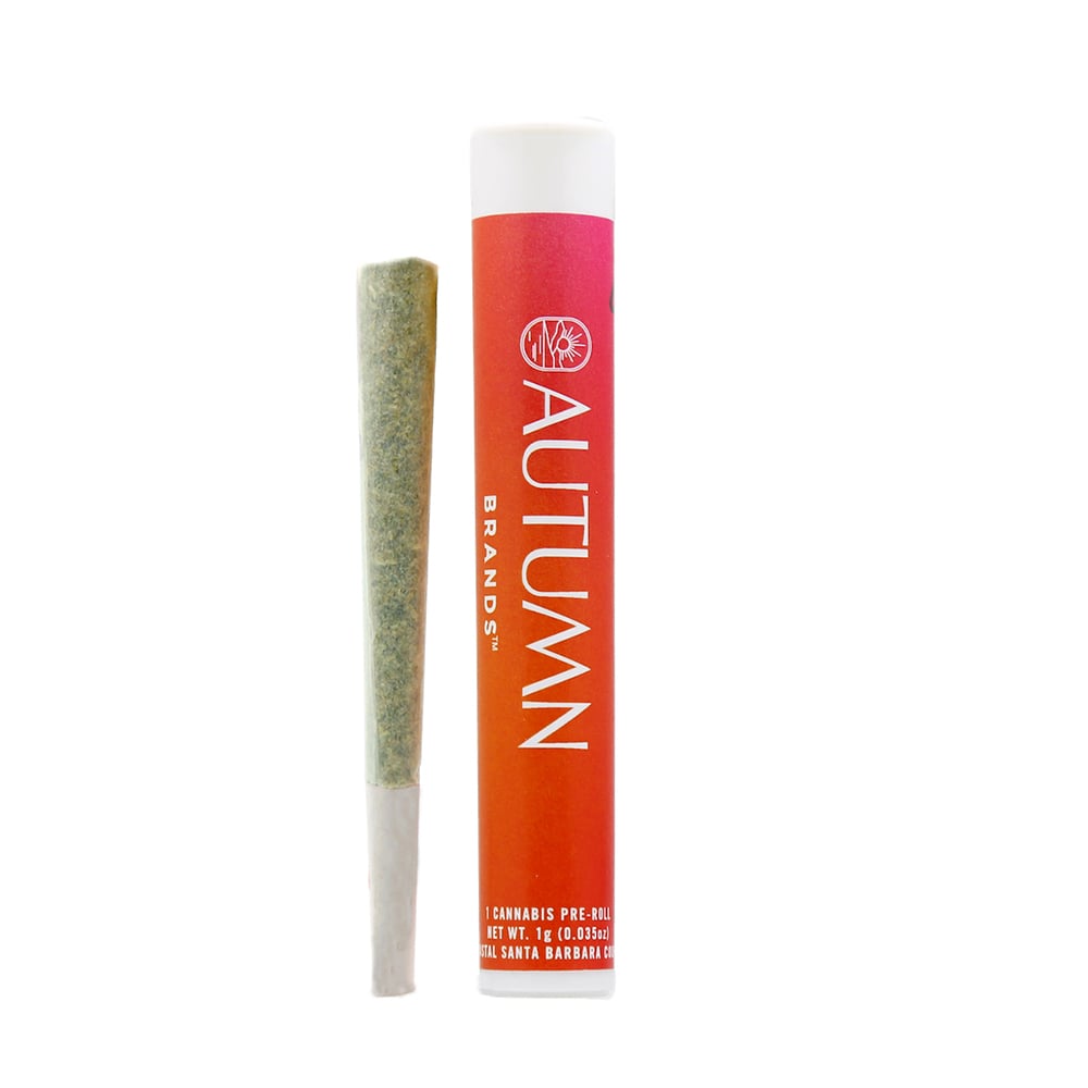 G-Runtz [1g]
