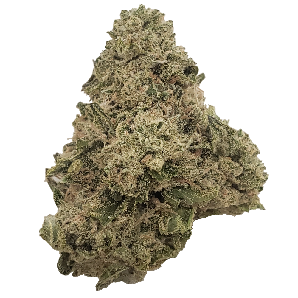 Motorcycle Cowboy Osage Creek Jane