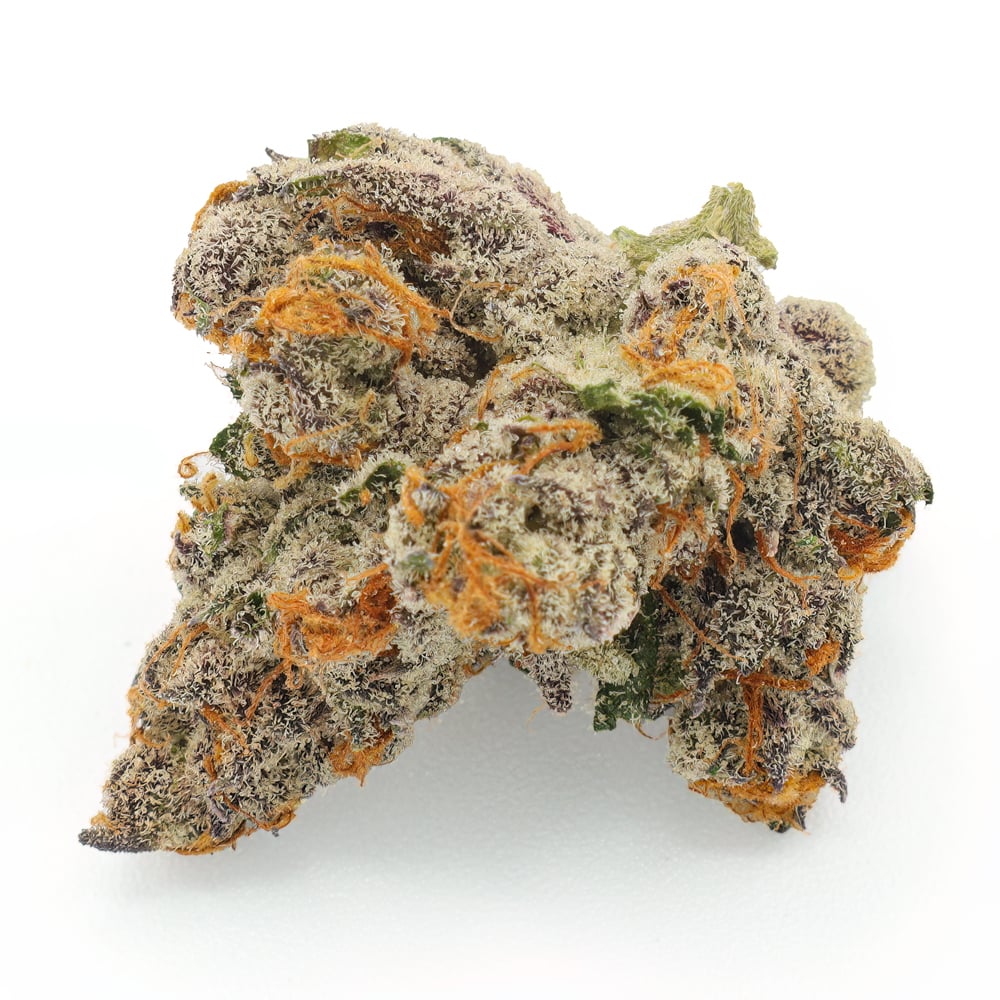 Shop Gucci Fruit x White Truffle | GraniteLeaf Cannabis