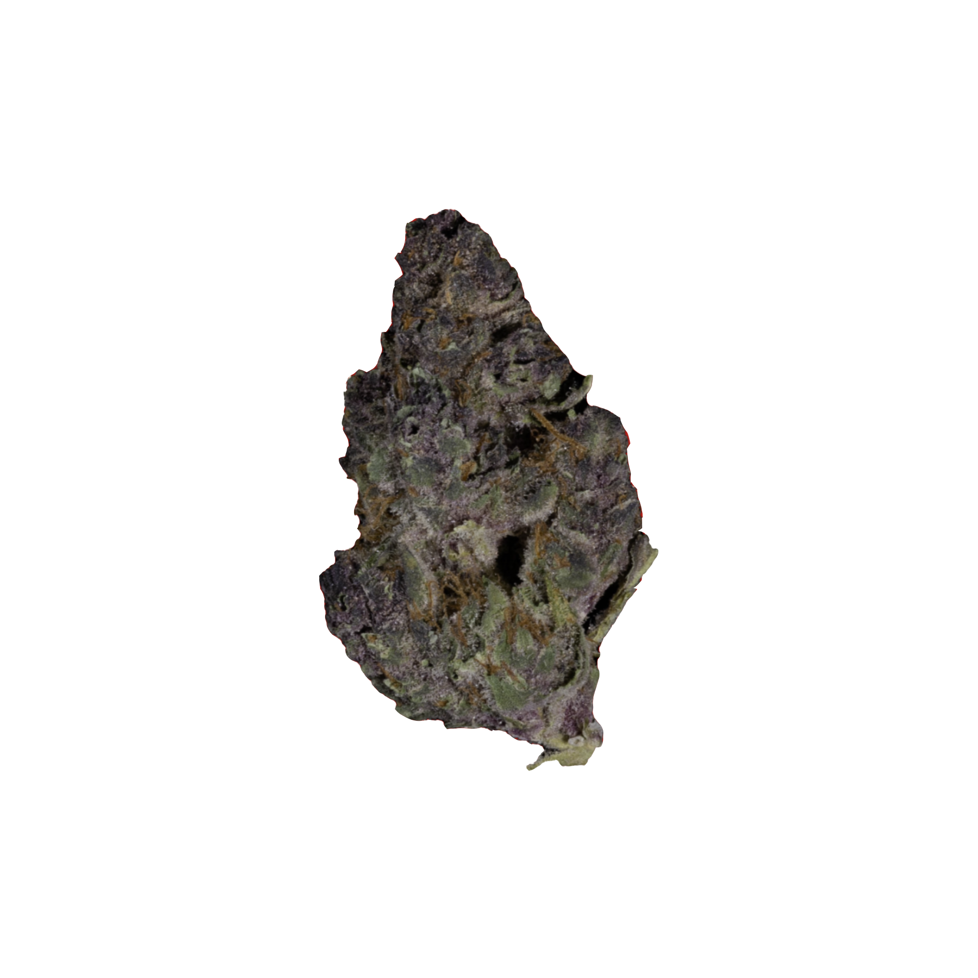 Tropicana Cherry
