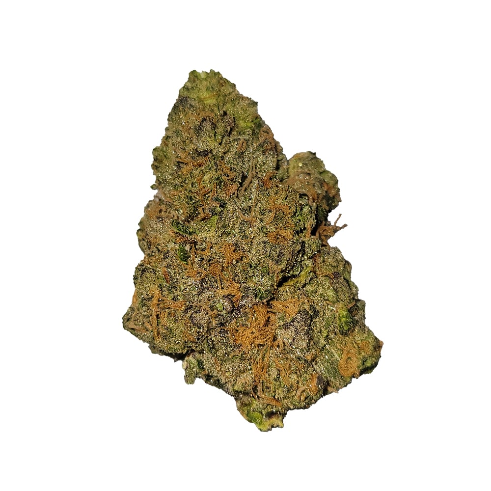 Black Maple