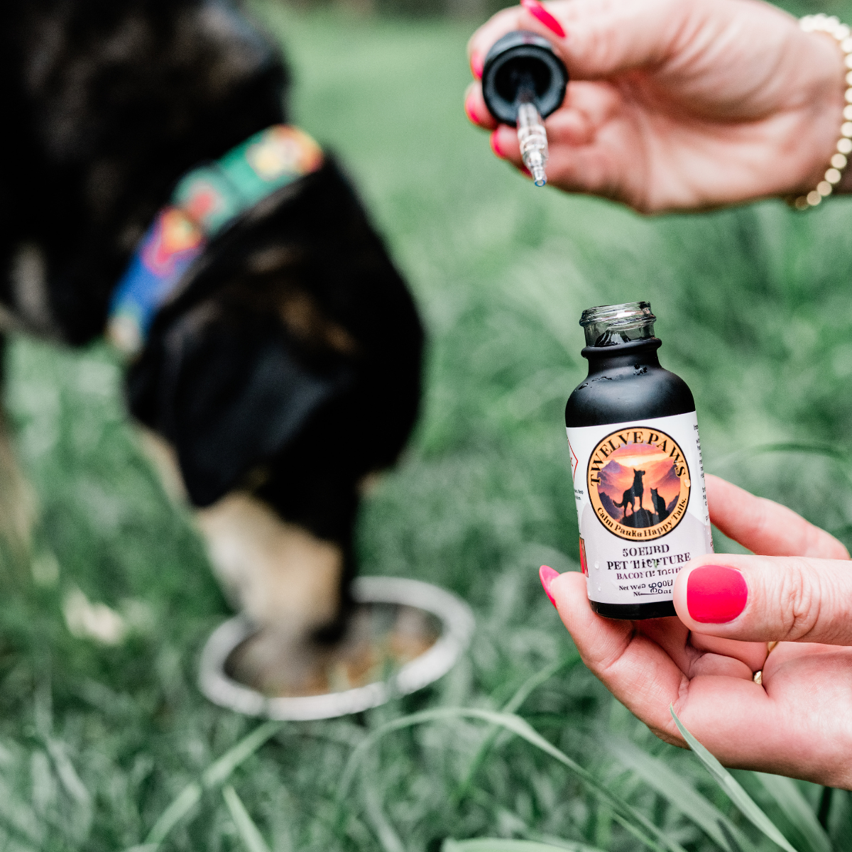 Bacon Flavor Tincture Cbd/1mg Thc