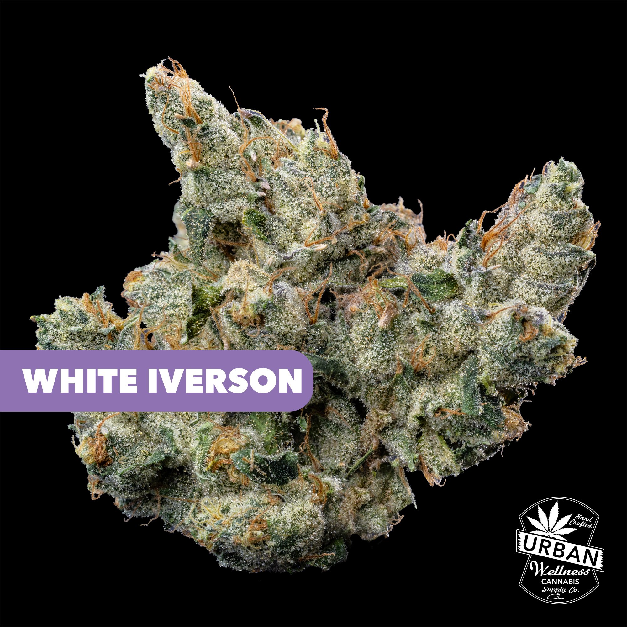 Shop White Iverson | Urban Wellness - Academy Dispensary