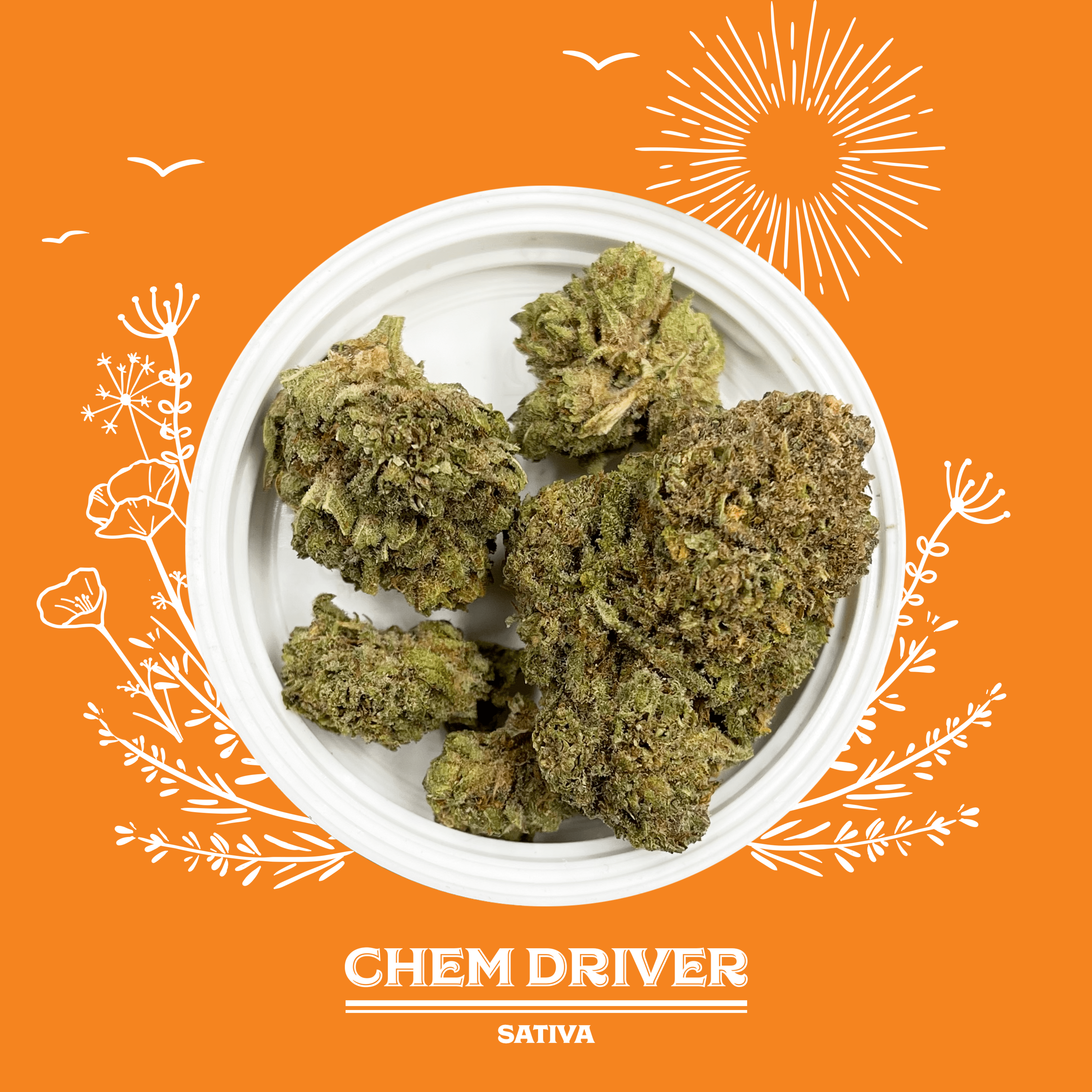 Chem Driver