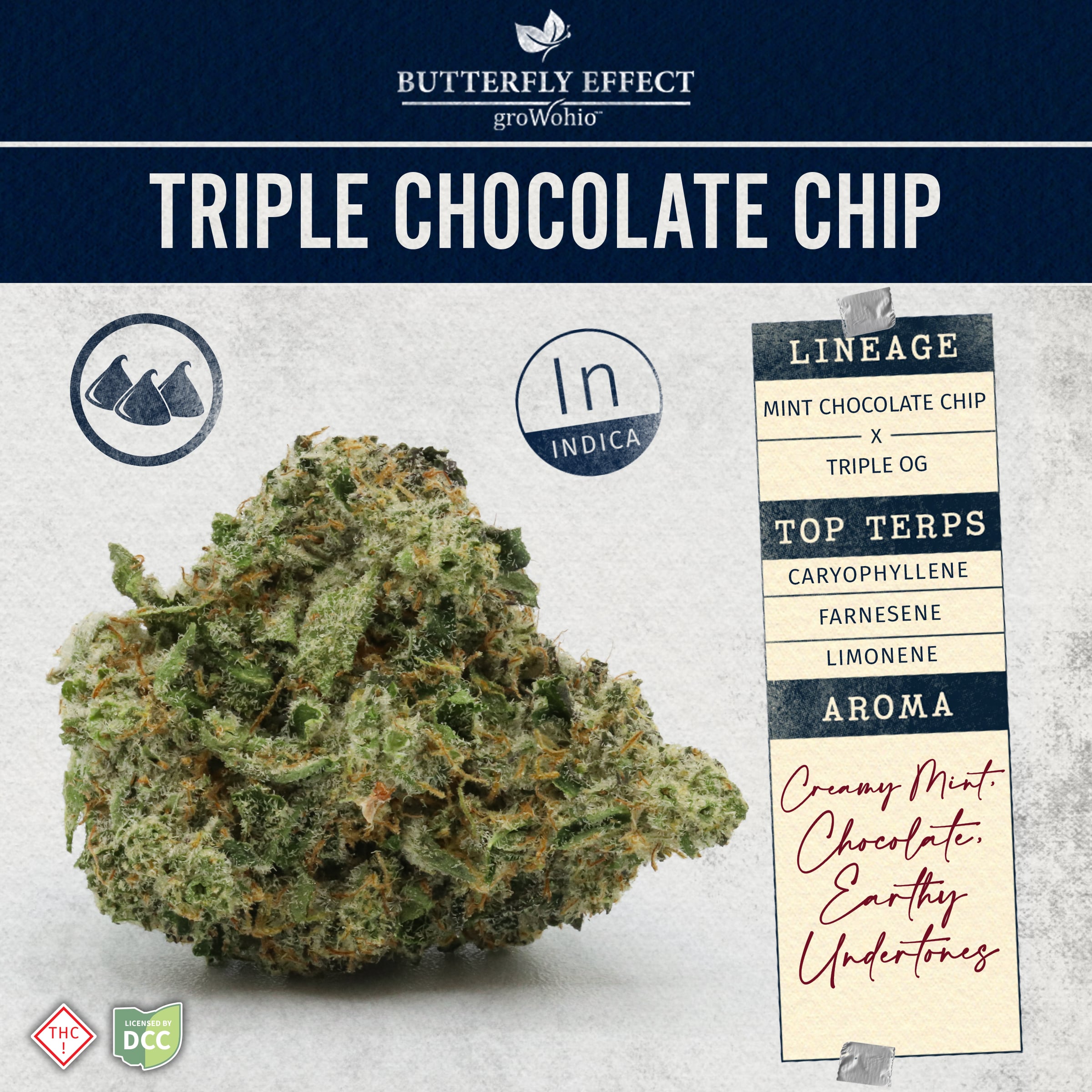 Butterfly Effect - Triple Chocolate Chip - 14.15g - Indica