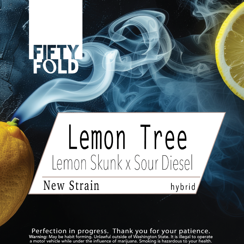 Lemon Tree