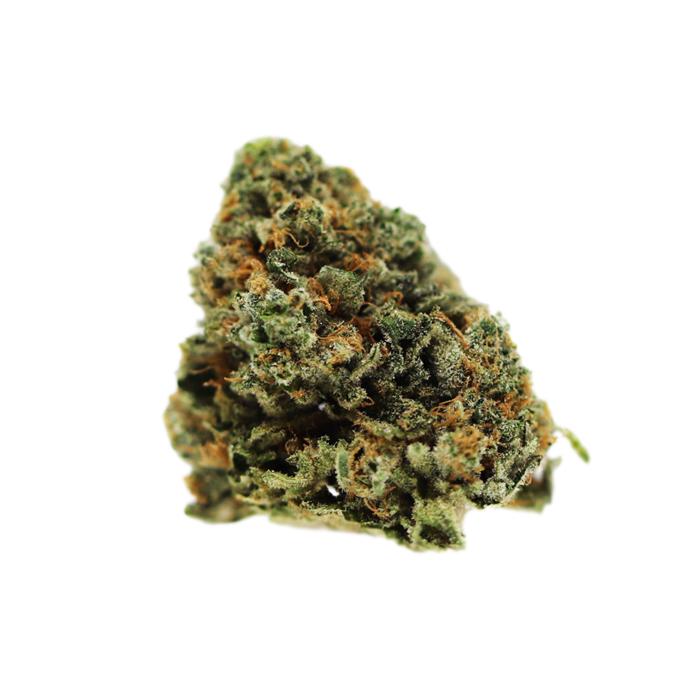 Half Pint Kind Tree Smalls Jane