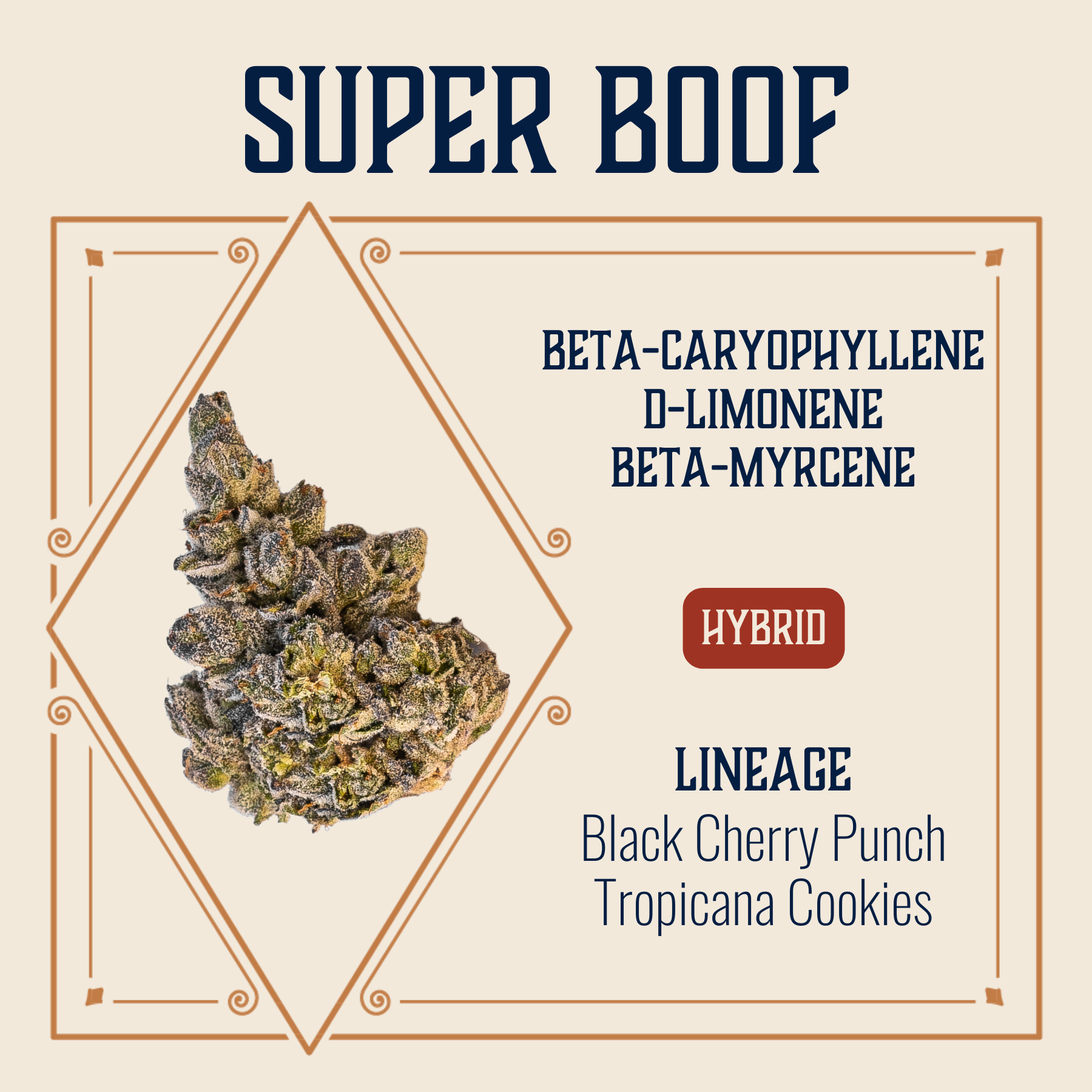 product card