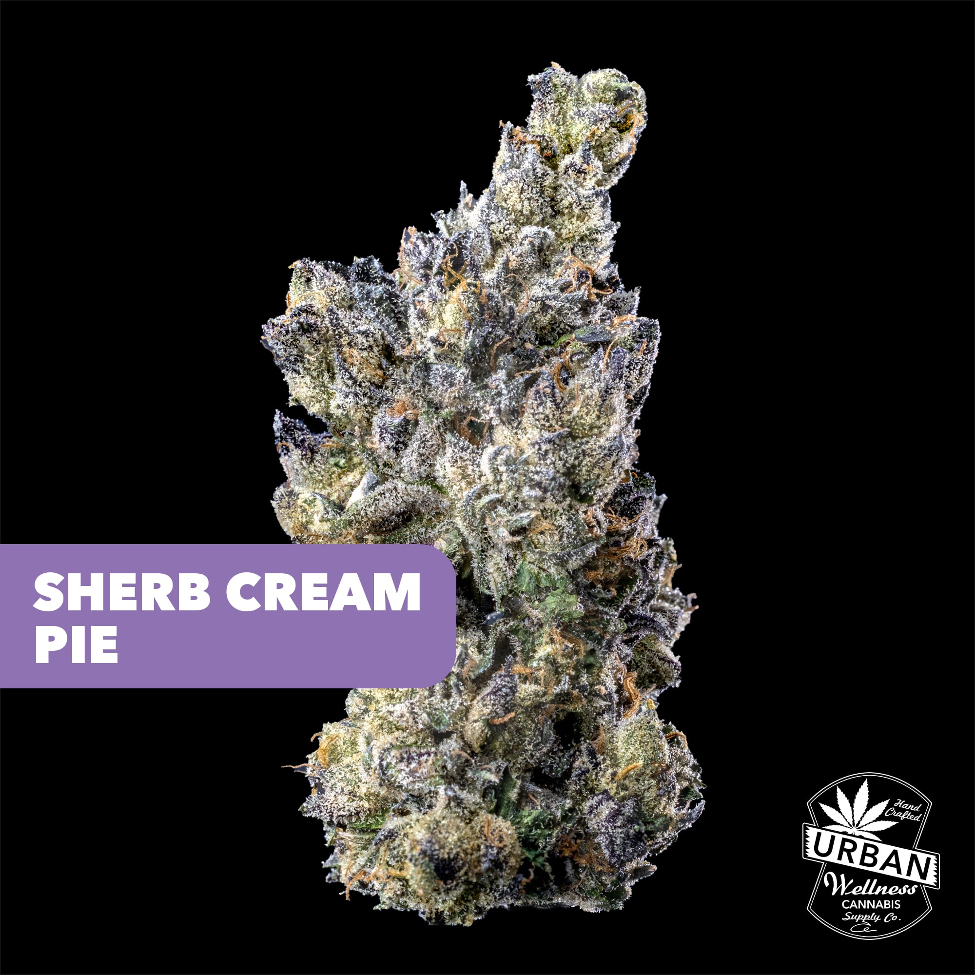 Sherb Cream Pie