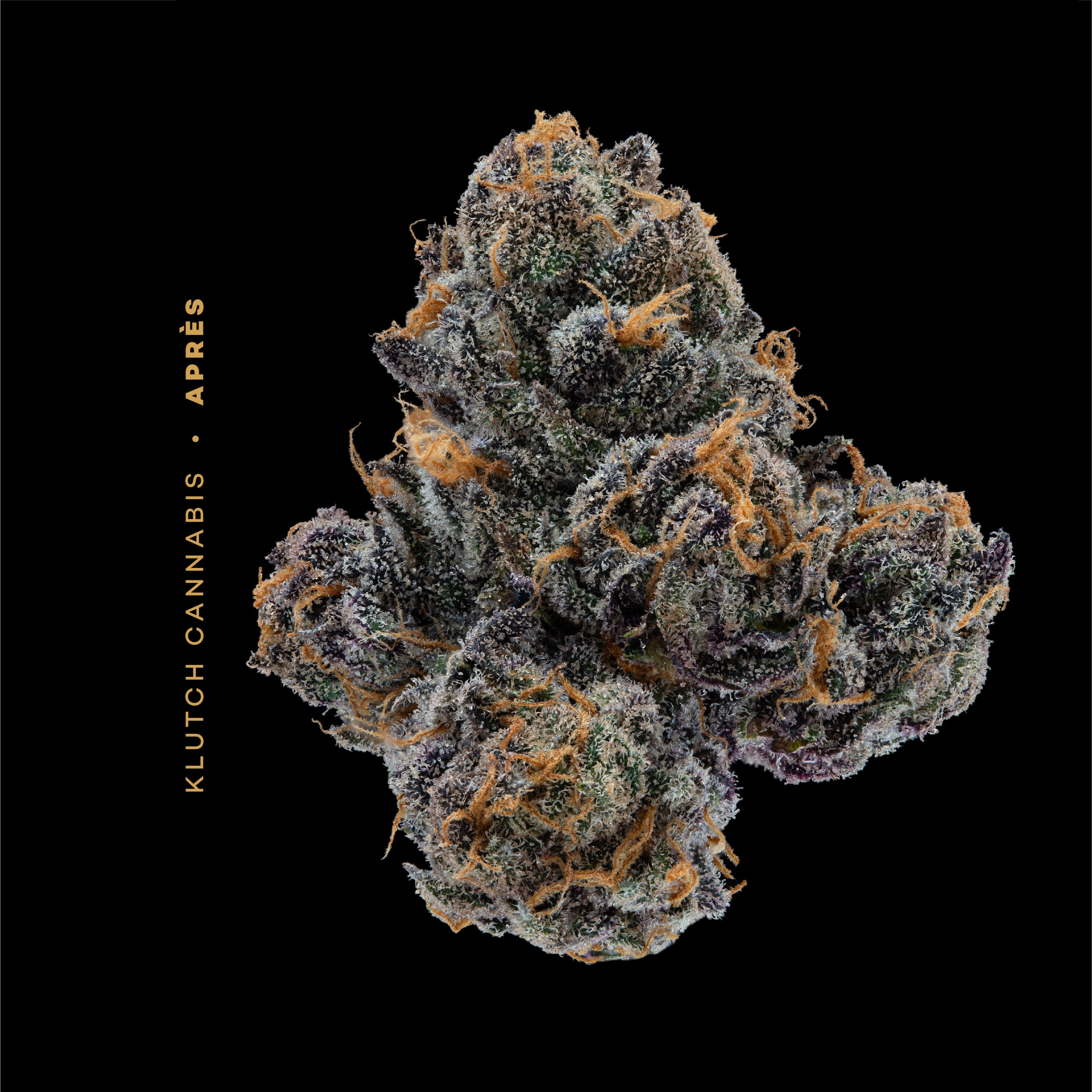 KLUTCH - SCOTTY 2 HOT - [2.83G] - INDICA