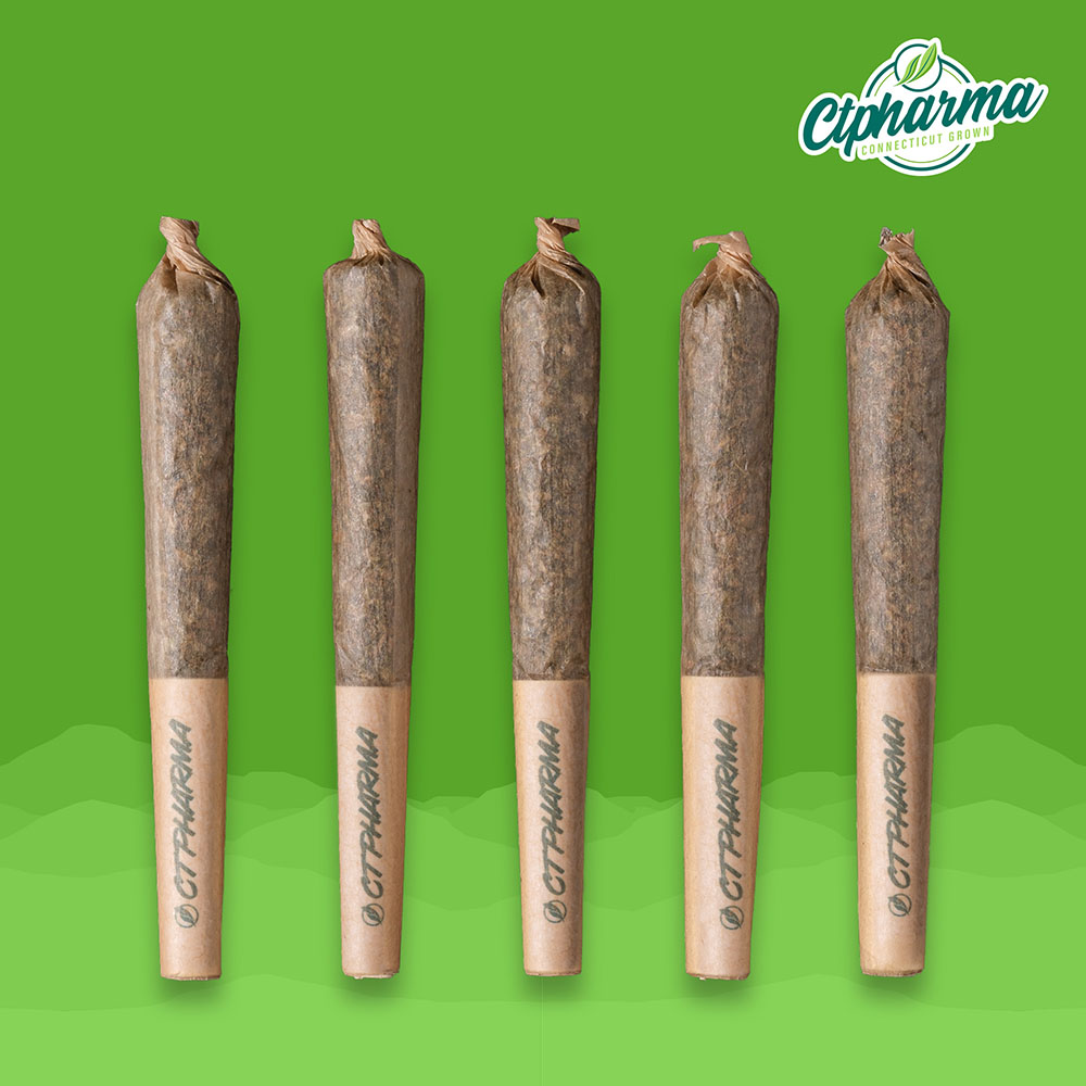 Wook Stomper Shorties H 26792