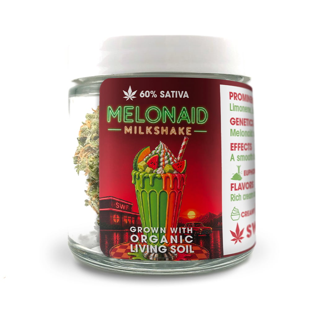 Melonaid Milkshake