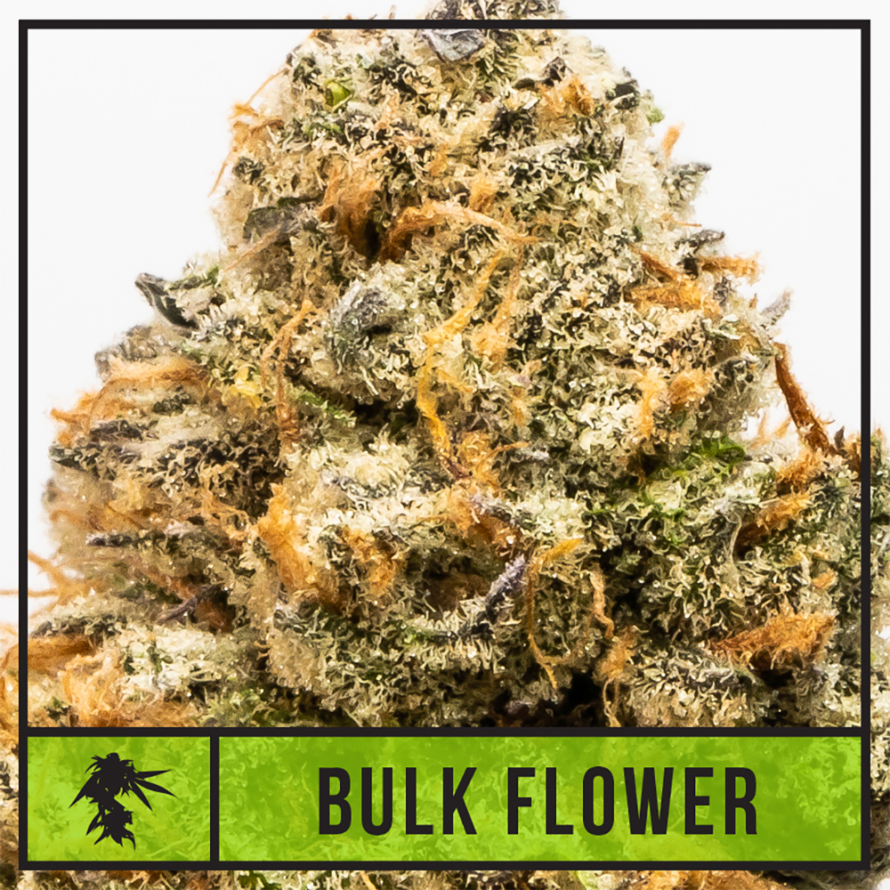 Alaskan Thunder F#ck