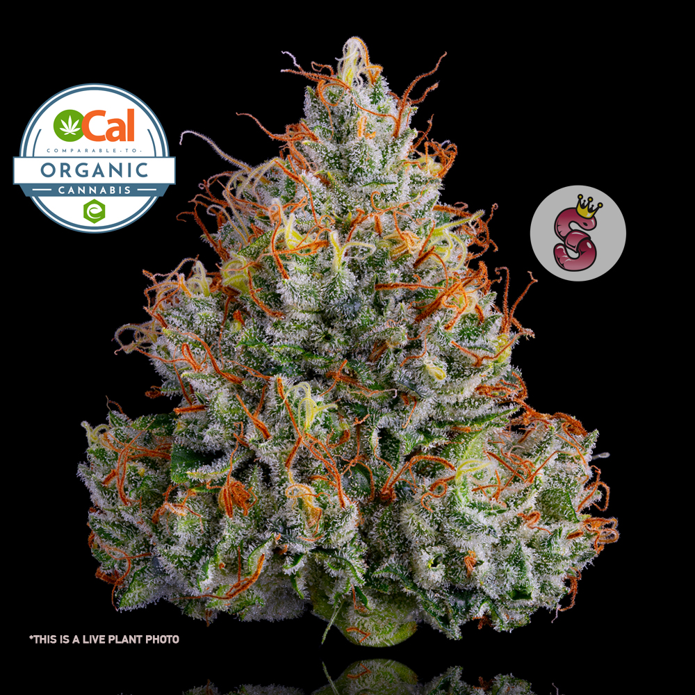 Lemon Banana Sherbet