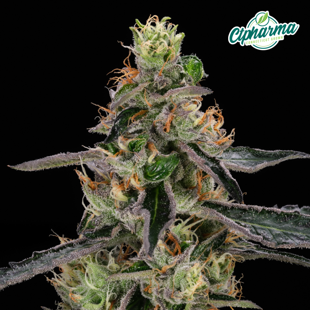 Deep Blue Gas Flower I 27161 - 1/8oz in Montville