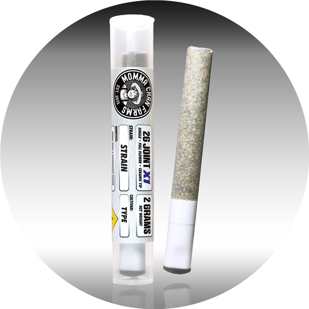 Crazy 88 [2g]