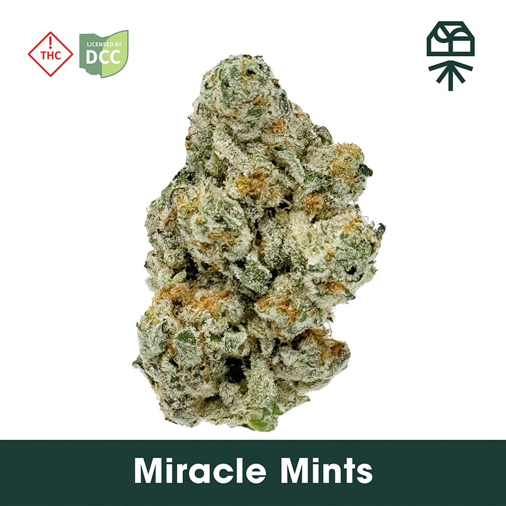 MIRACLE MINTS - SMALLS - [14.15G] -INDICA