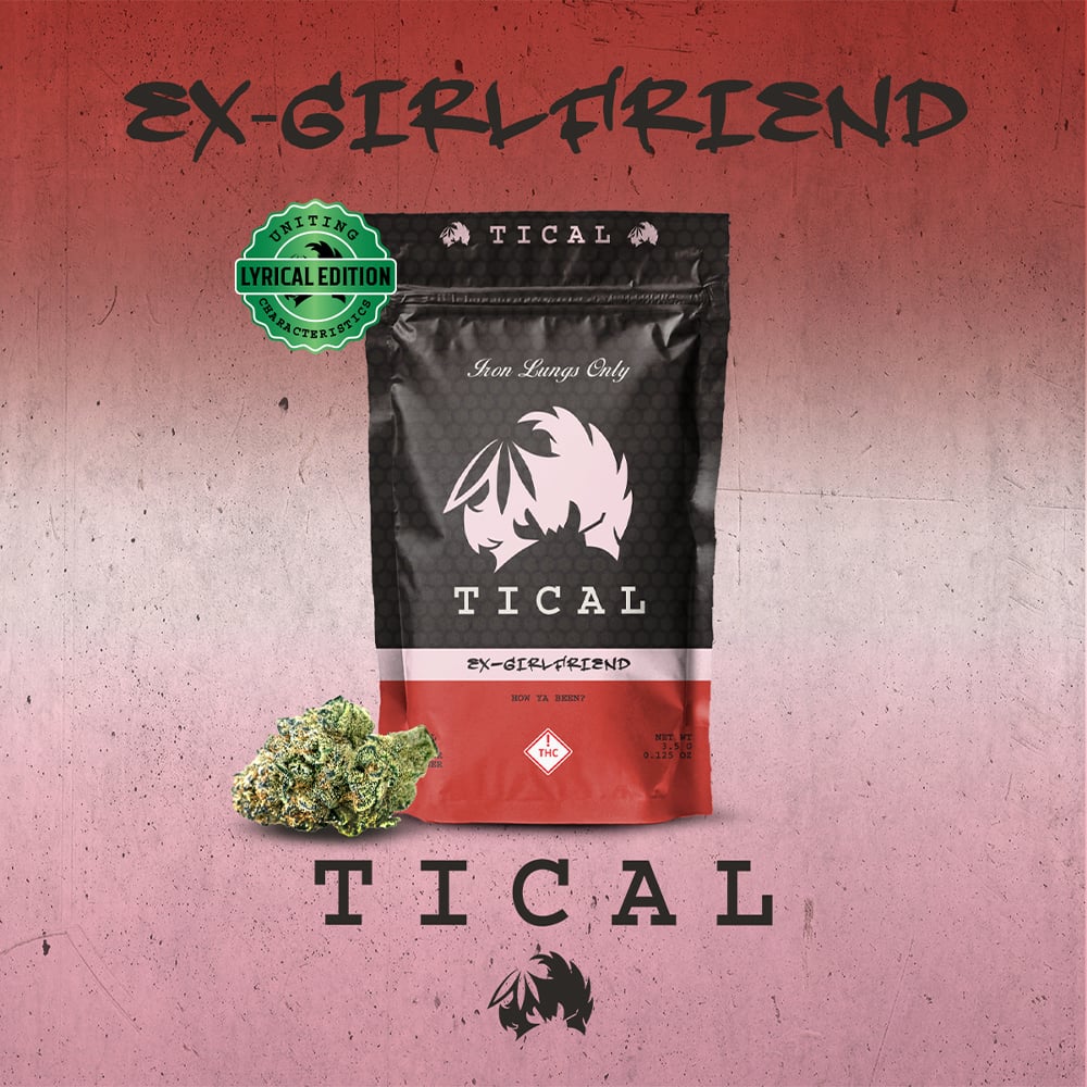 Ex-Girlfriend