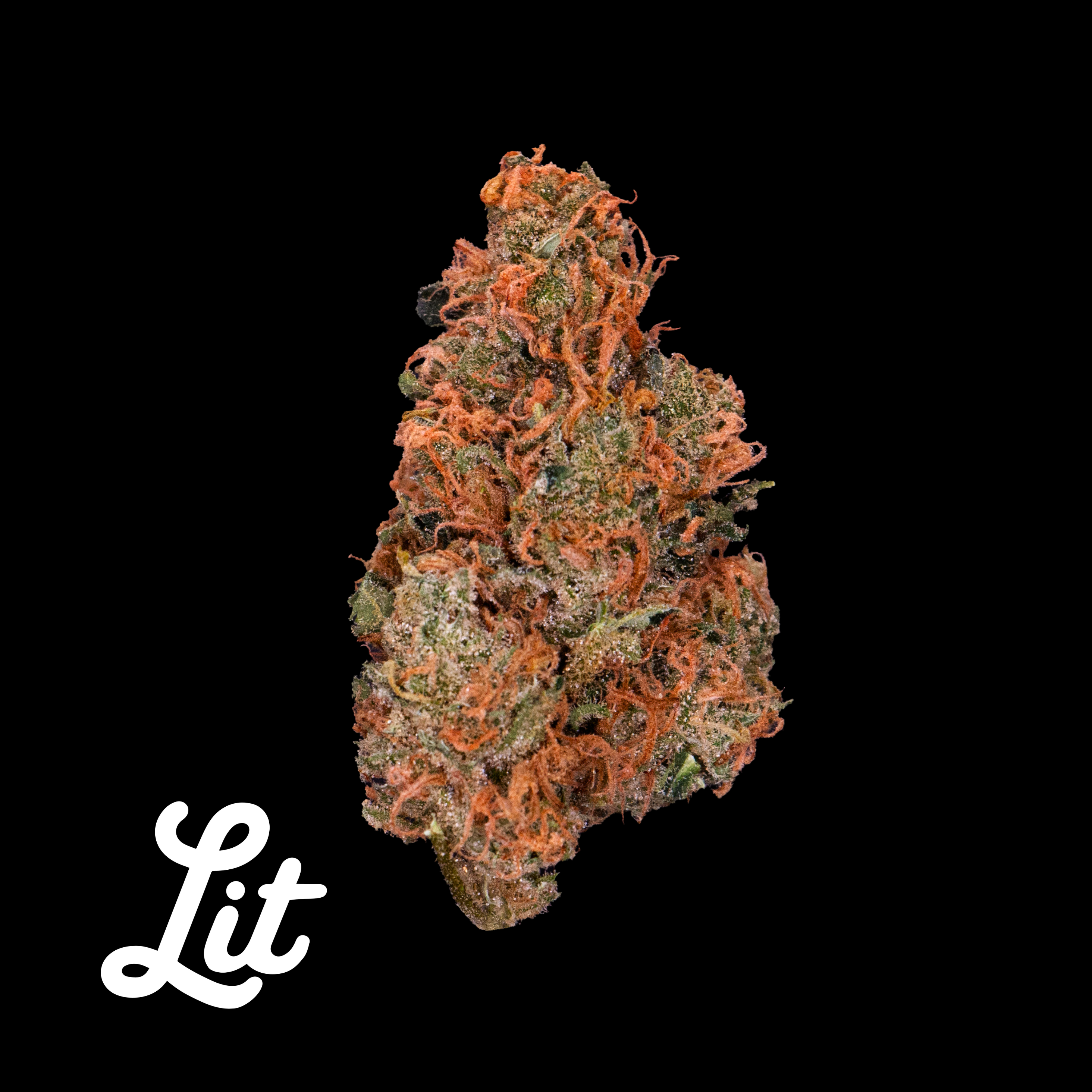 Golden Goat by Garden First