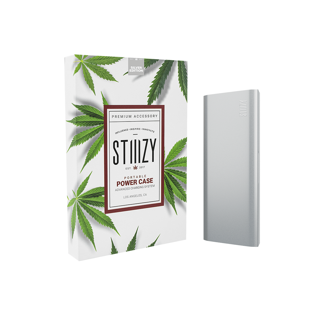 PORTABLE POWER CASE - SILVER
