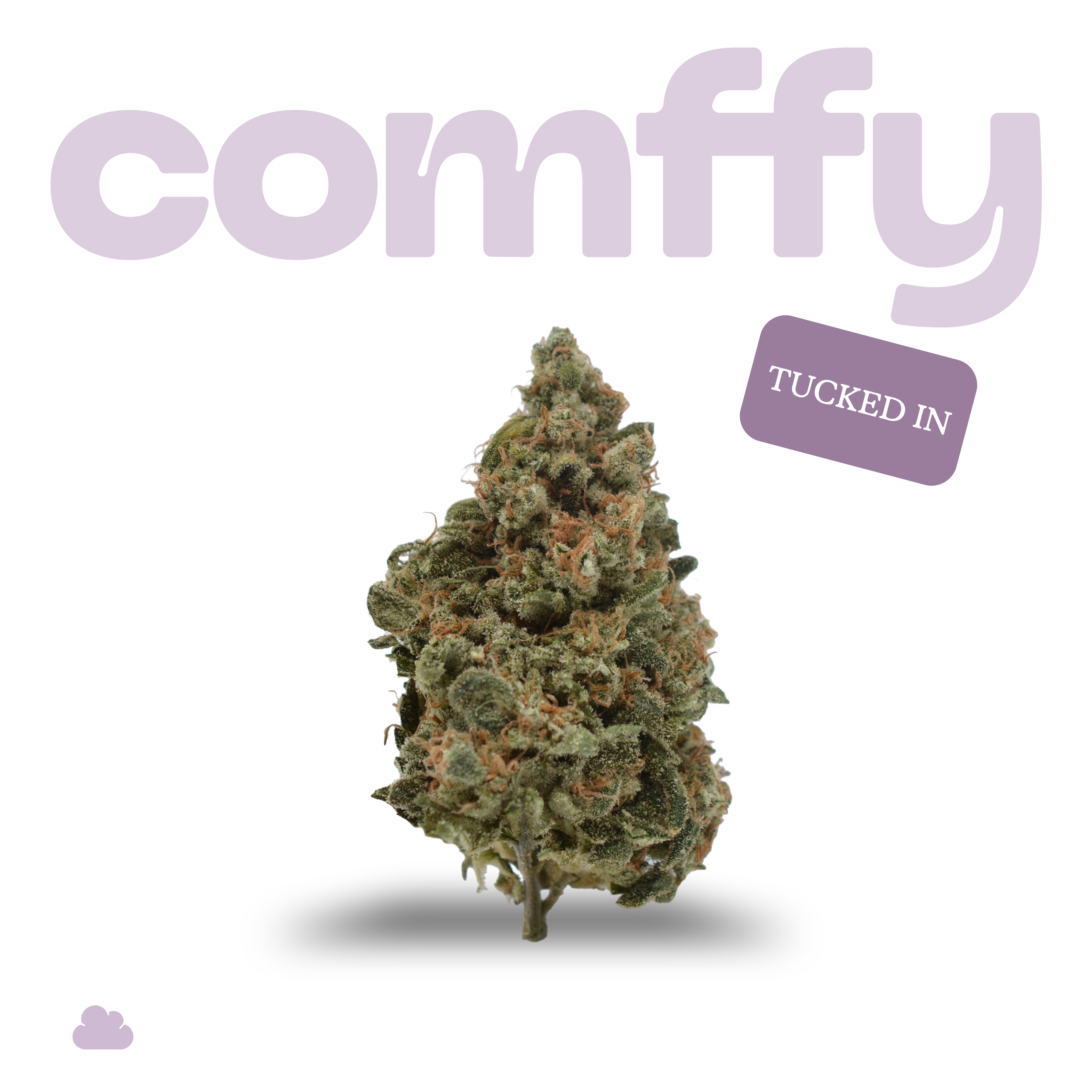 comffy - Tucked In (I) Flower  Pre-Order