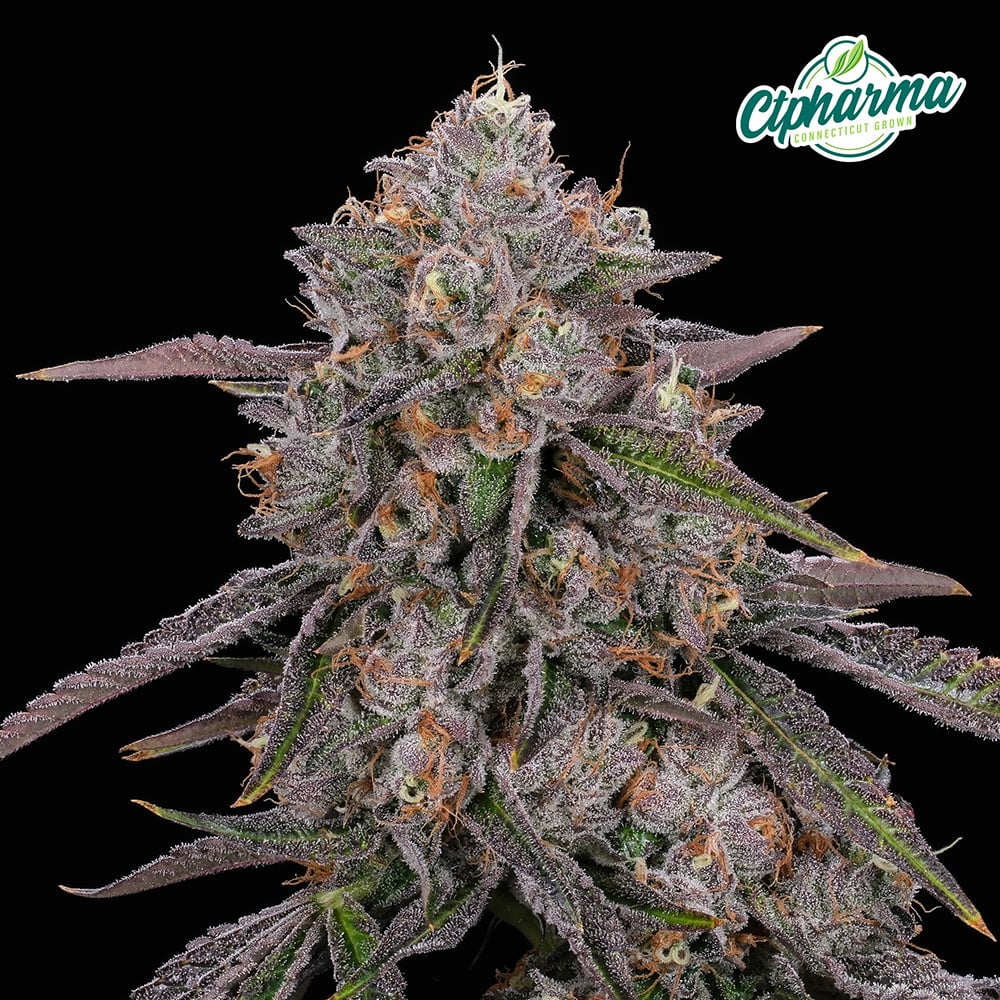 Blue Andeze Flower I 26978 - 1/8oz in Montville
