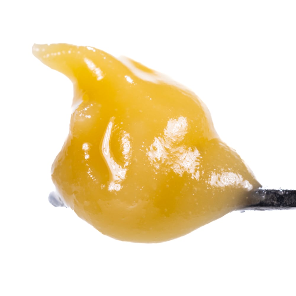 Georgia Z [1g]