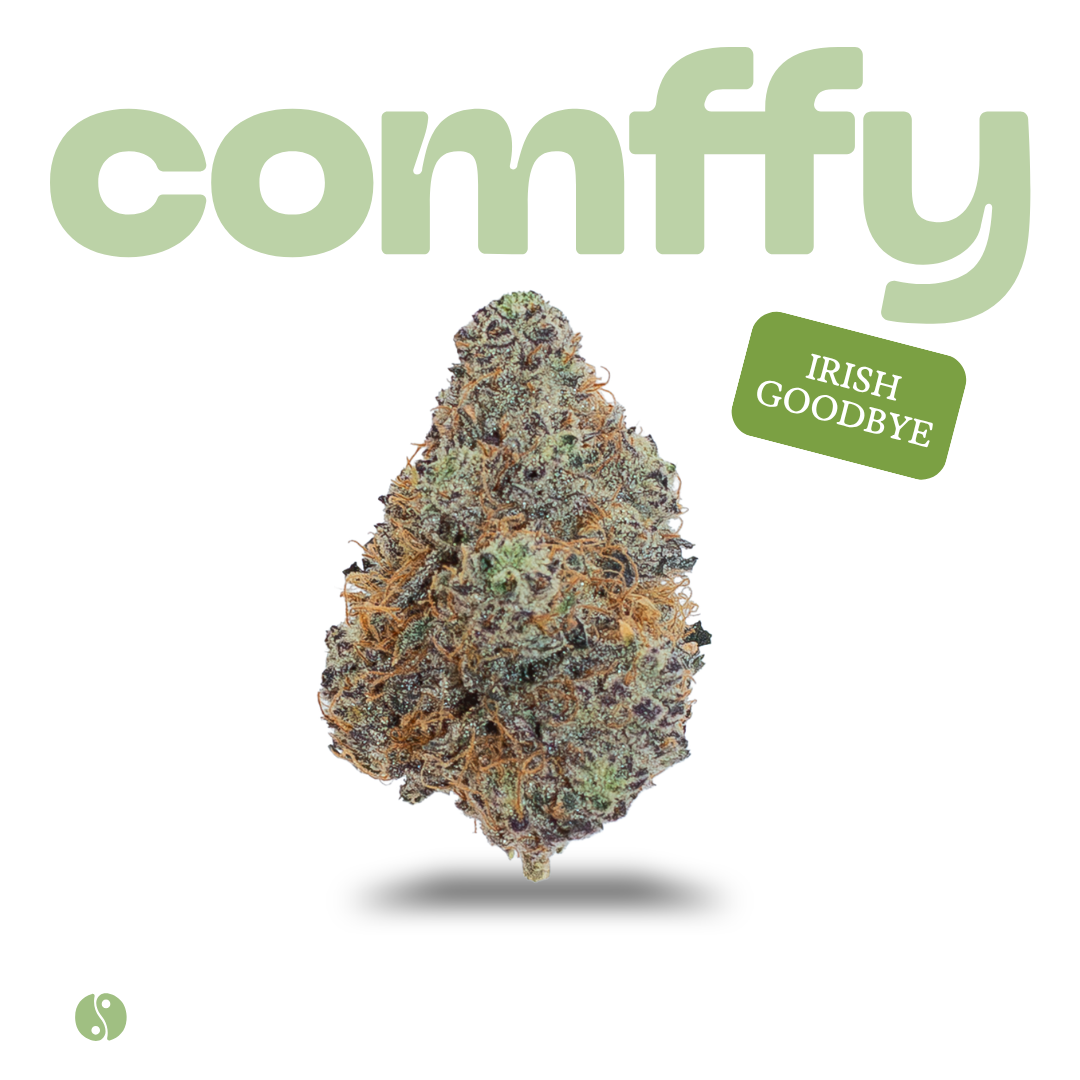 comffy - Irish Goodbye  (H) Flower  C0140000256