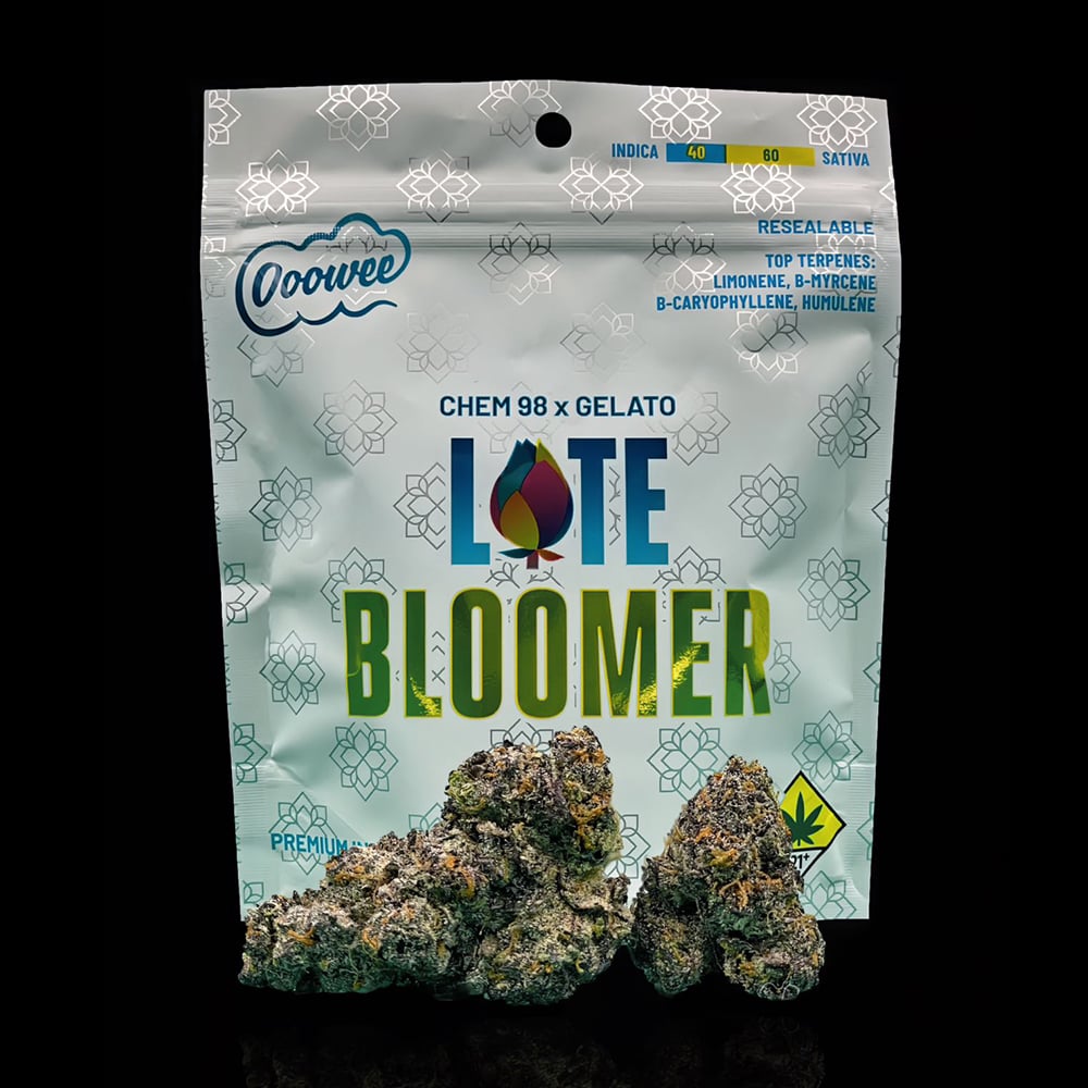 Late Bloomer