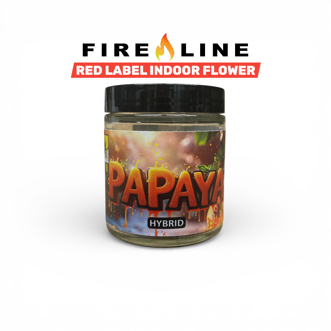 Papaya