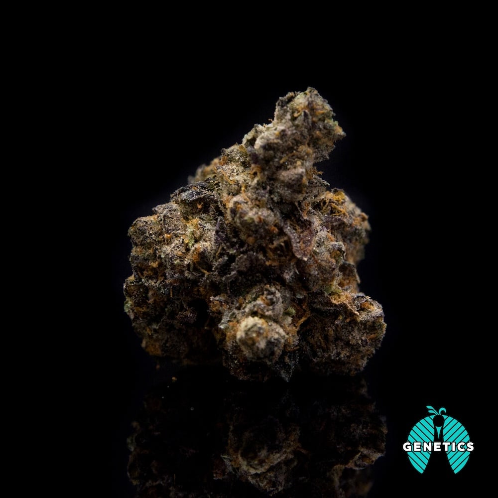 Jet Fuel Gelato Maitri Premium Jane