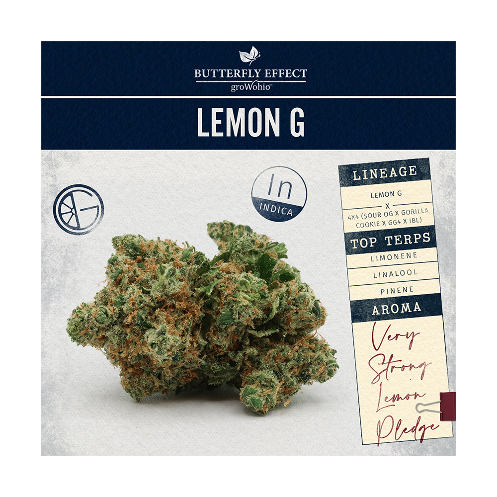 Lemon G [2.83g] Butterfly Effect Butterfly Effect Flower Jane