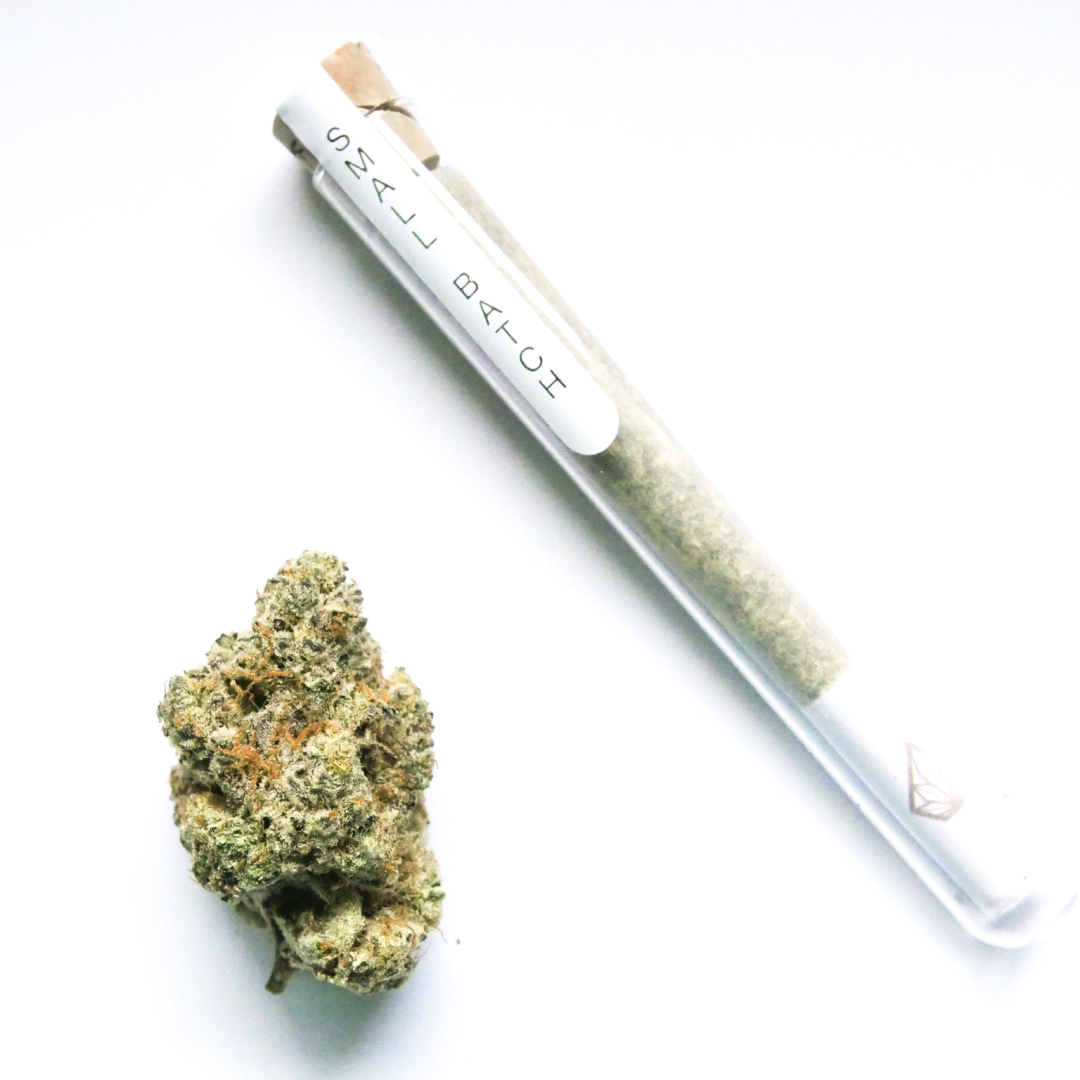 91 GMO [1g]