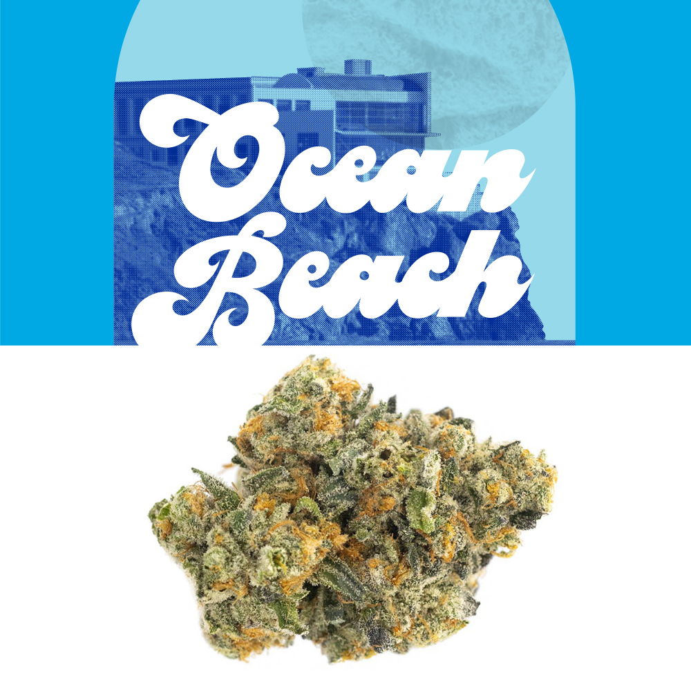 Shop Ocean Beach | Jane