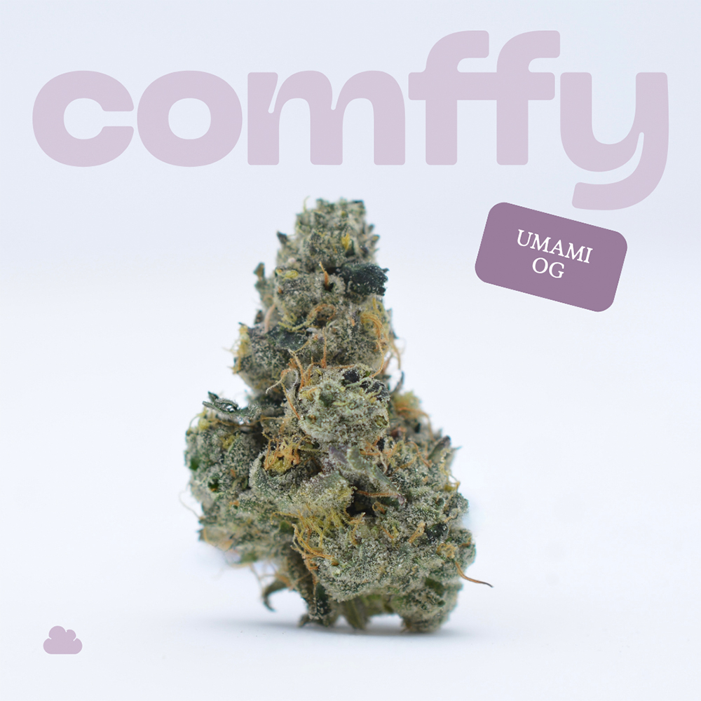 Comffy - Umami OG (I) Flower  C0140000040