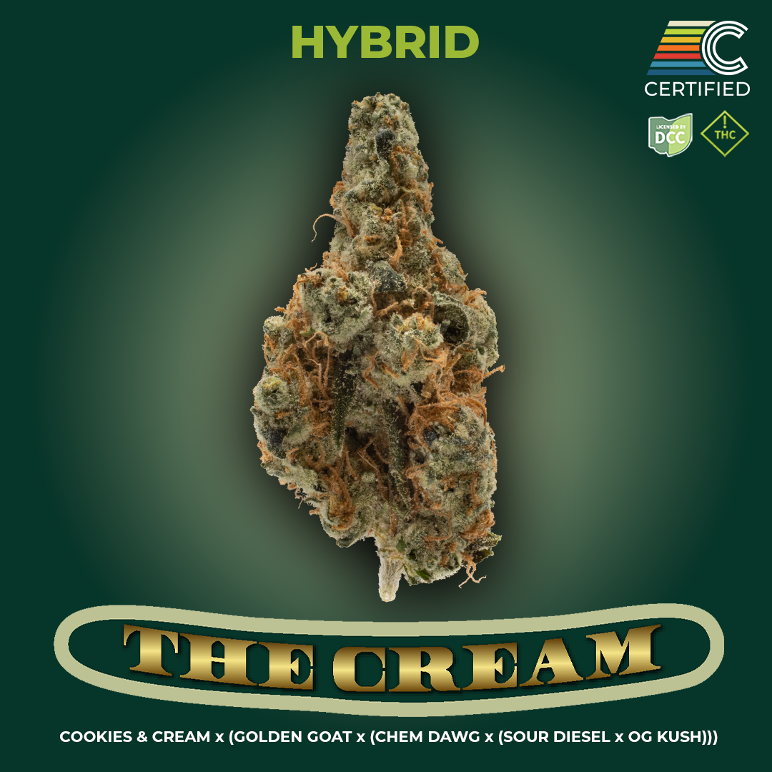 Shop The Cream [2.83g] | Jane