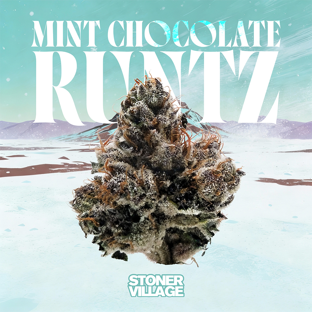 Mint Chocolate Runtz