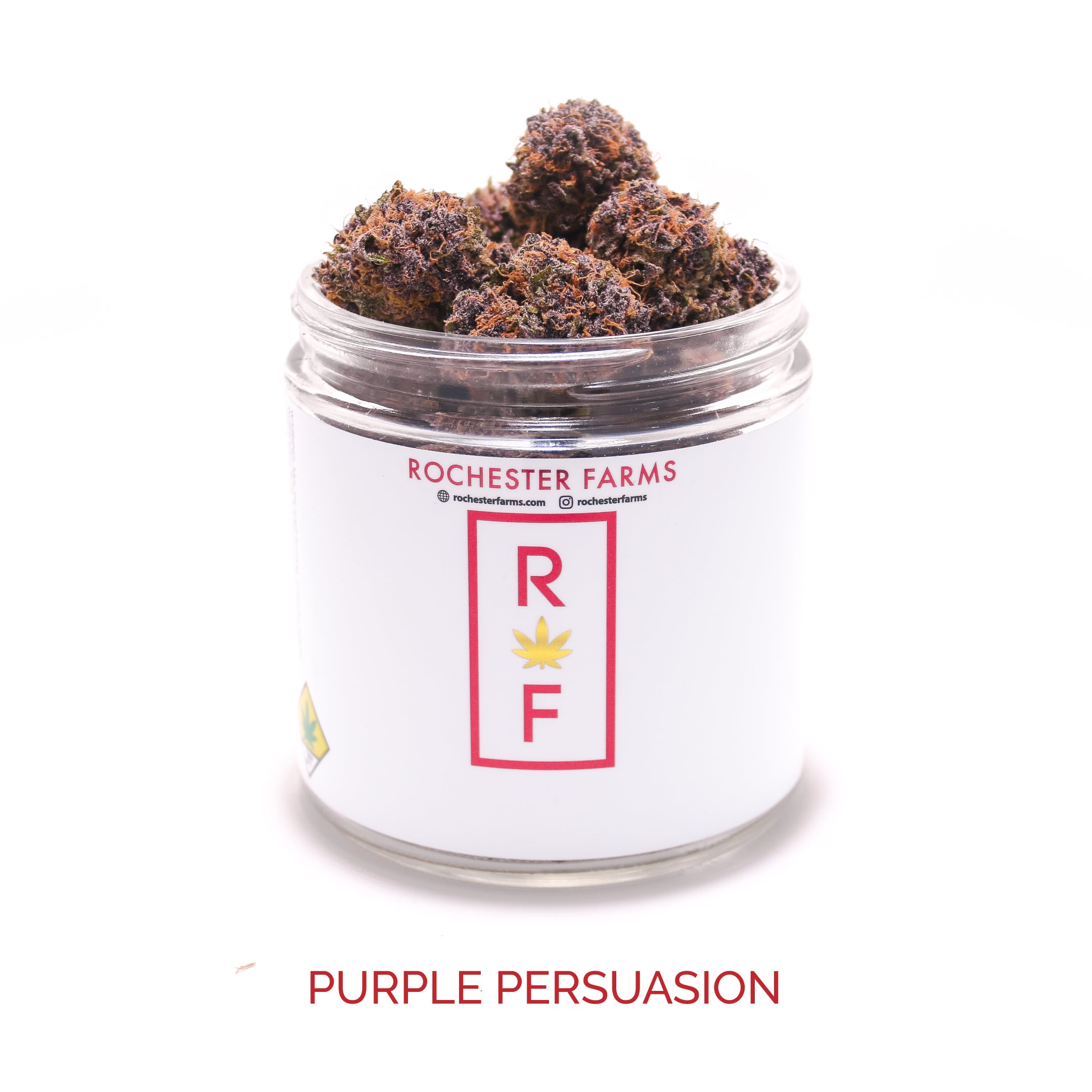 Purple Persuasion #5