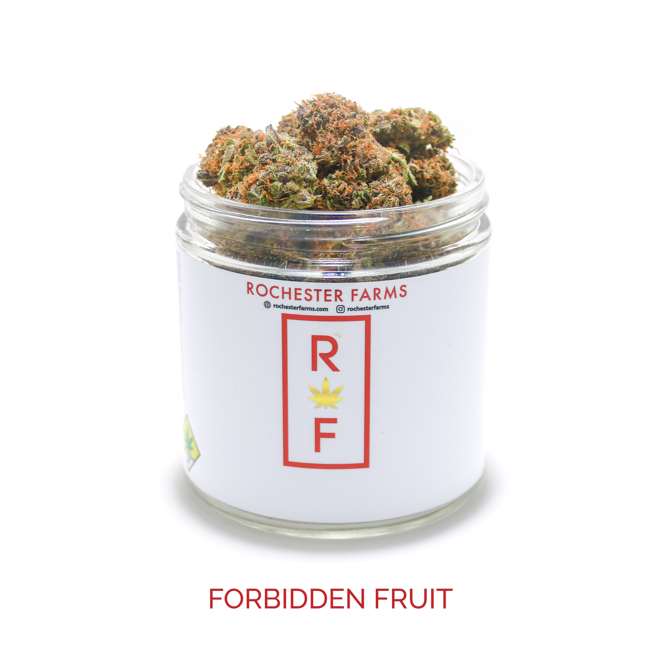 Forbidden Fruit