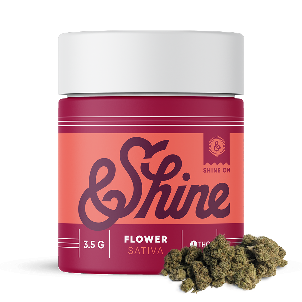 Jack Herer | &Shine