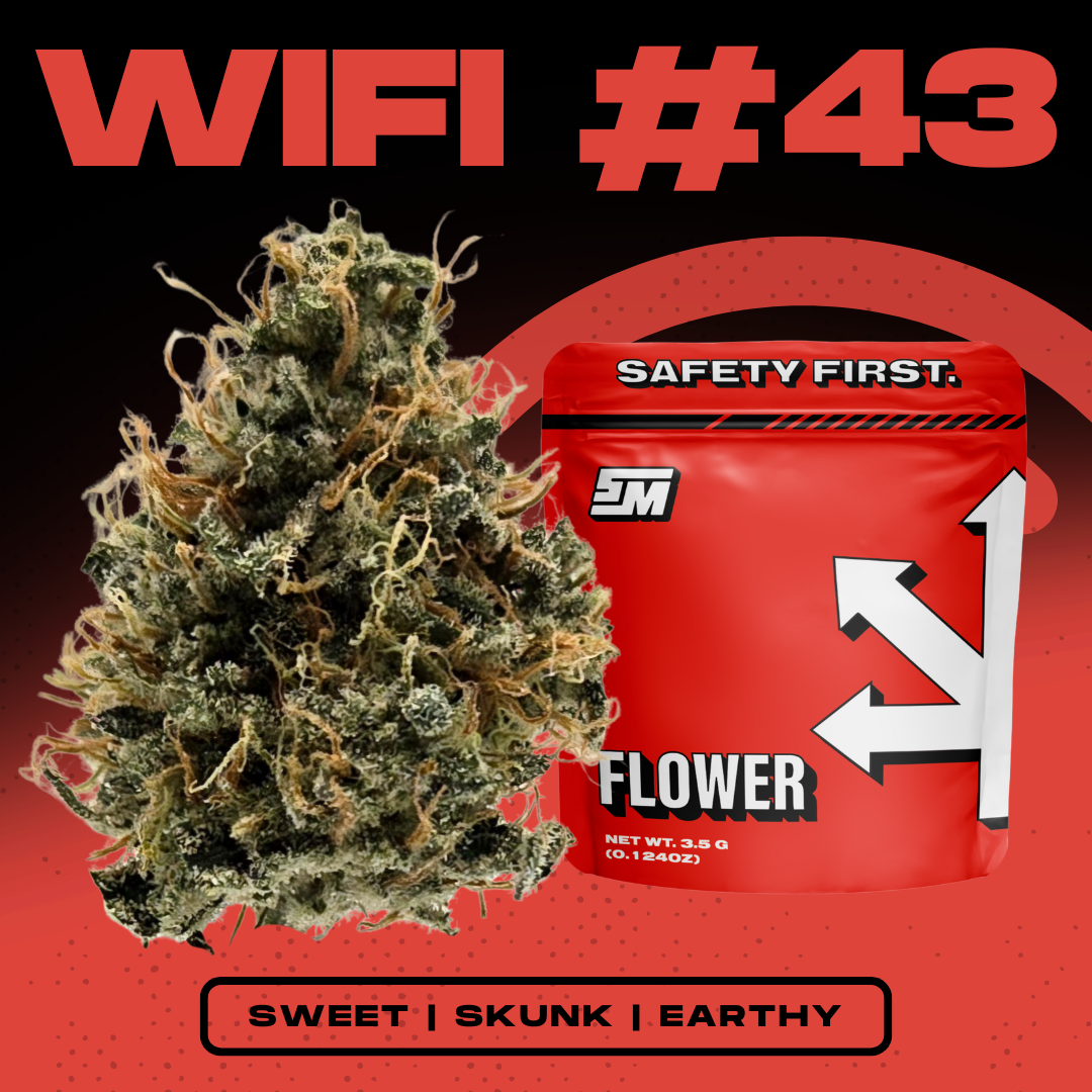 WIFI #43